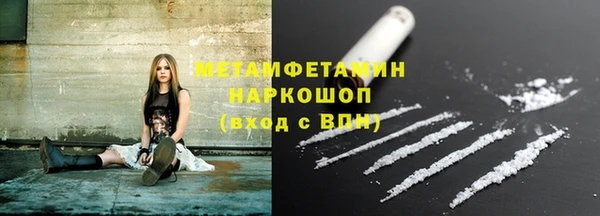 прущие грибы Дмитриев