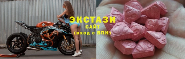 прущие грибы Дмитриев