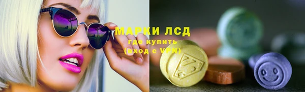 прущие грибы Дмитриев