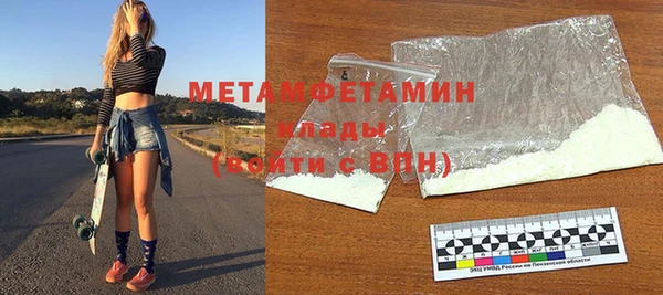 прущие грибы Дмитриев