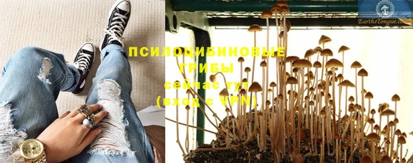 прущие грибы Дмитриев