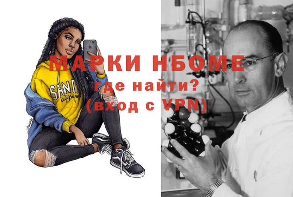 прущие грибы Дмитриев