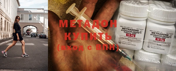 прущие грибы Дмитриев