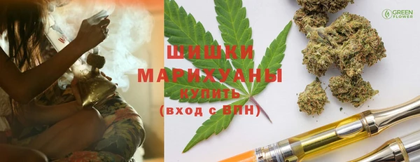 прущие грибы Дмитриев