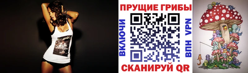 Псилоцибиновые грибы прущие грибы  гидра маркетплейс  Елизово 
