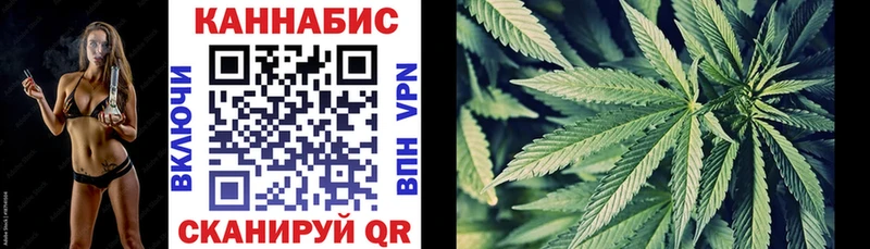 mega   Елизово  Конопля конопля 